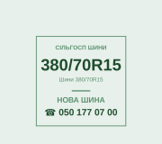 Шини 380/70R15