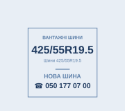 Шини 425/55R19.5