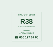 Сільгосп шини R38