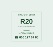 Сільгосп шини R20